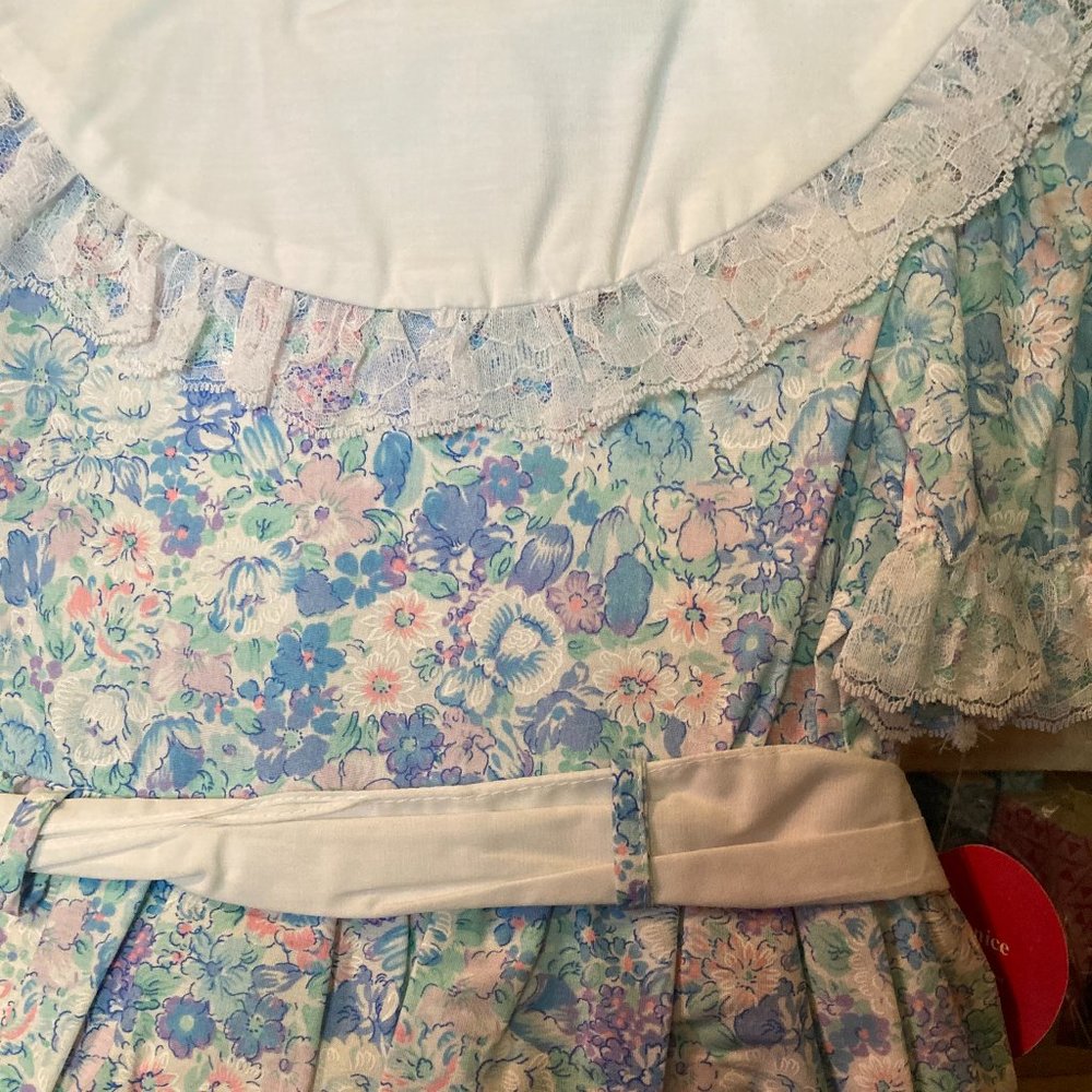 EVERYTHING NICE JILL LYNN NEW DRESS 6 MADE IN USA